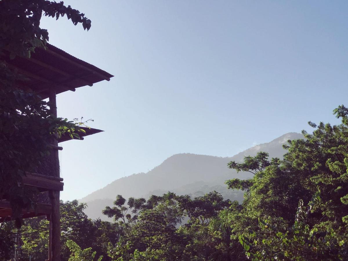 The Valley Tayrona Hostel- A Social Jungle HostZaino Kültér fotó