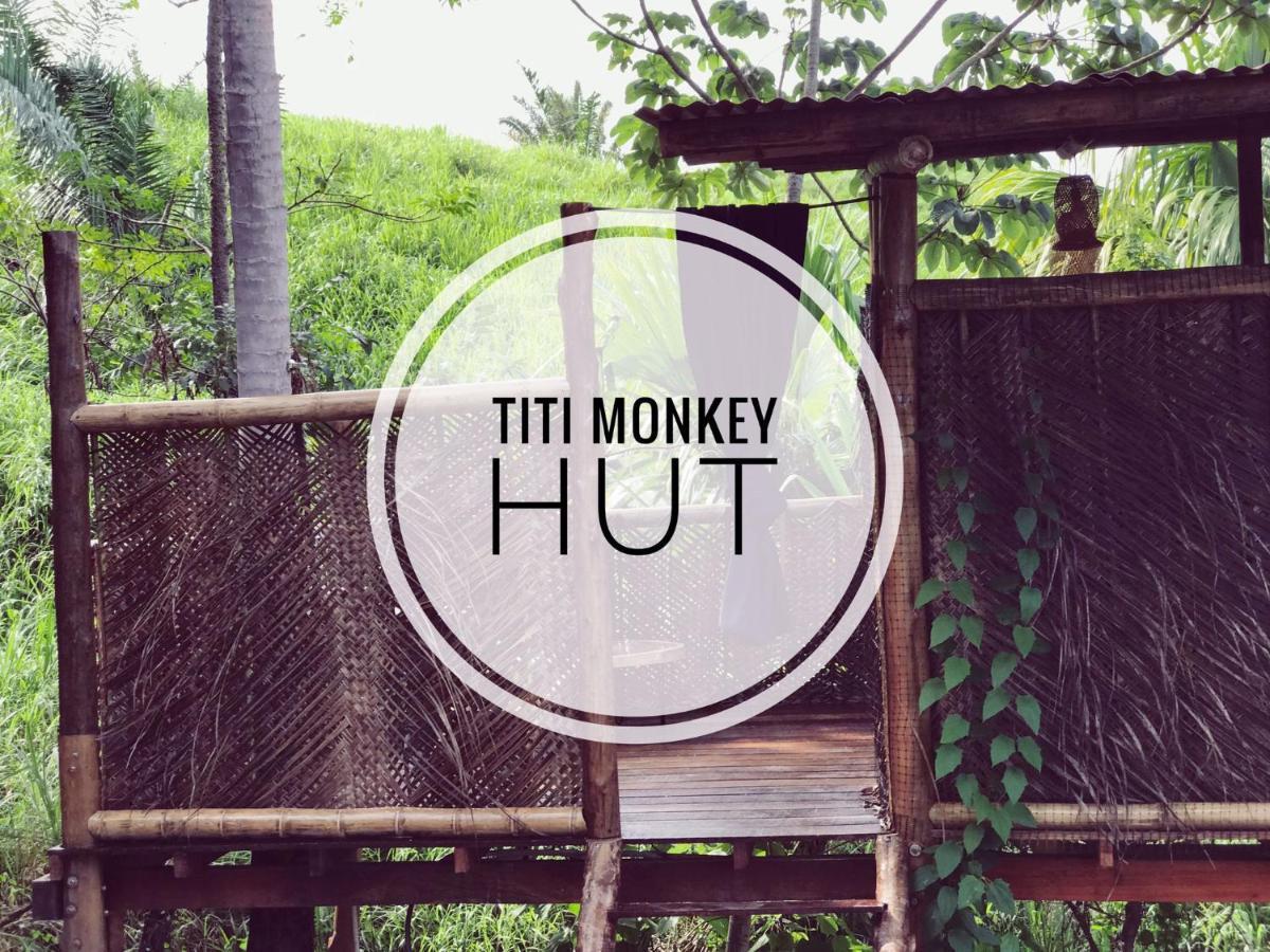 The Valley Tayrona Hostel- A Social Jungle HostZaino Kültér fotó