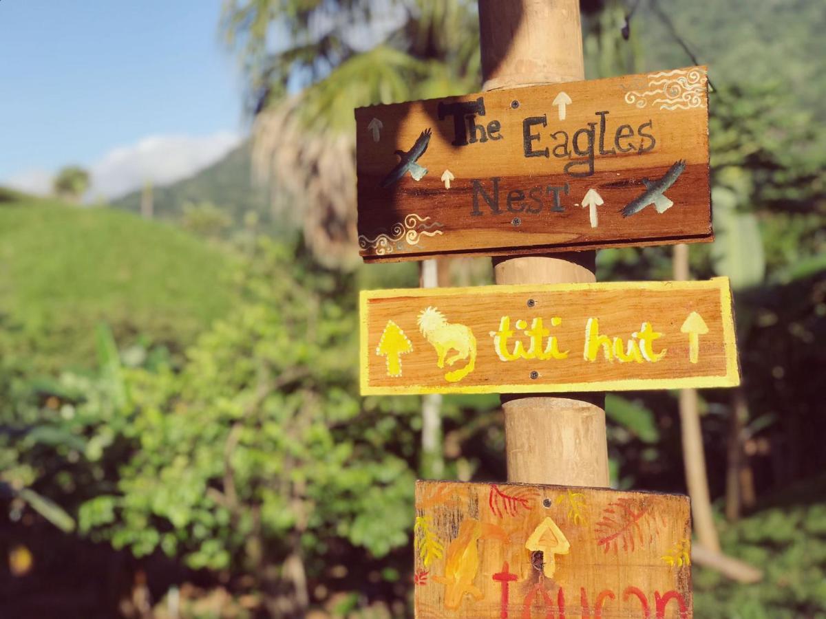 The Valley Tayrona Hostel- A Social Jungle HostZaino Kültér fotó