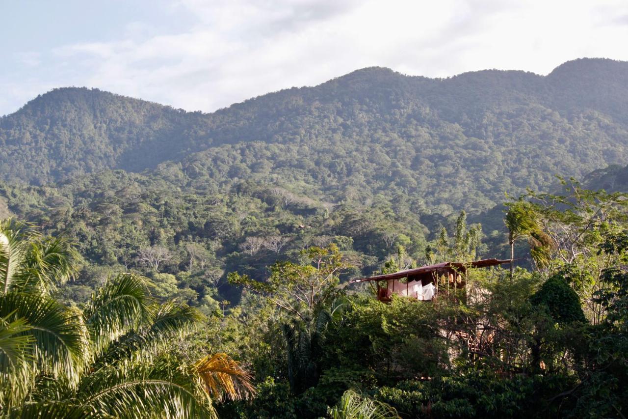 The Valley Tayrona Hostel- A Social Jungle HostZaino Kültér fotó