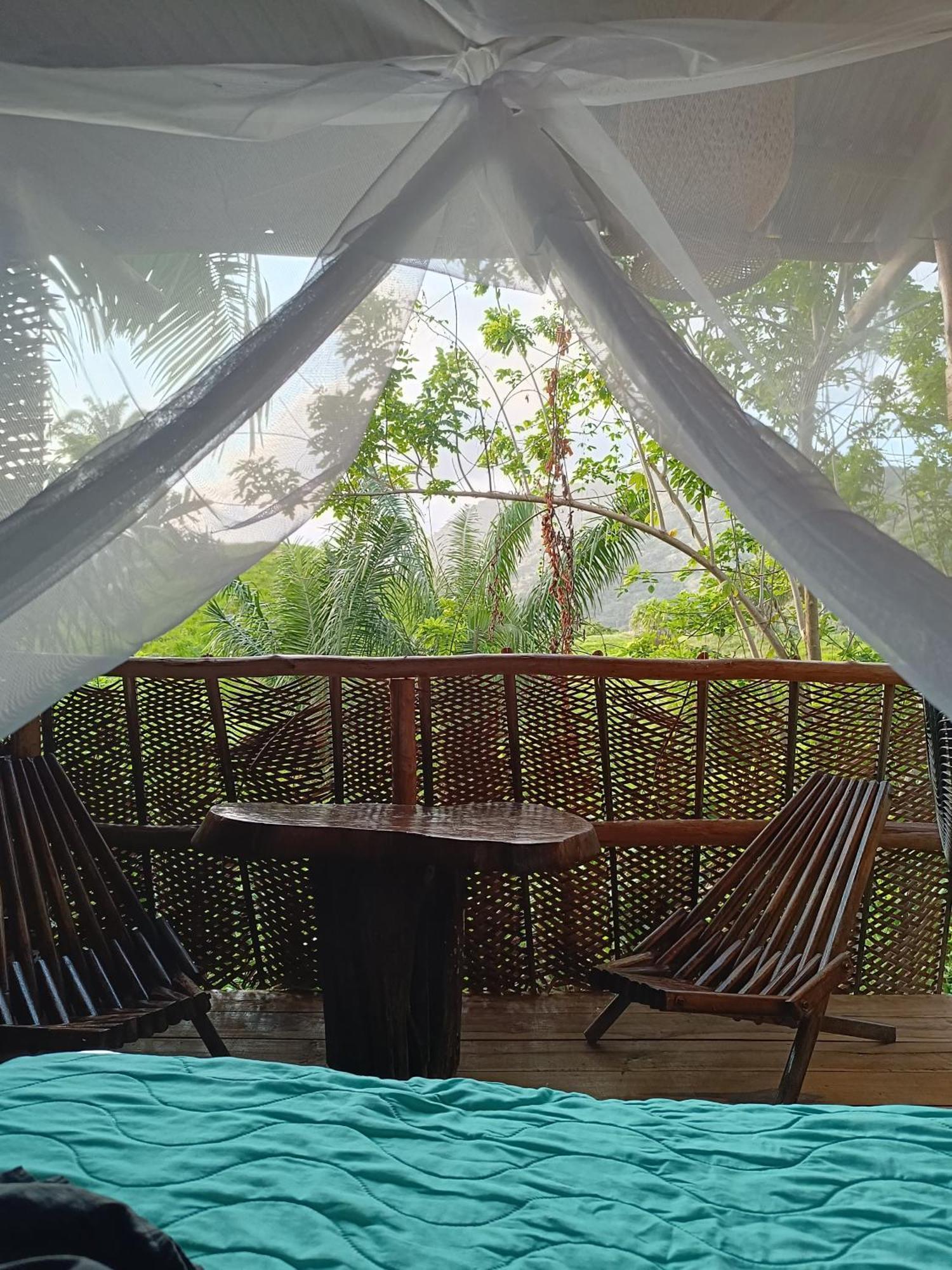 The Valley Tayrona Hostel- A Social Jungle HostZaino Kültér fotó