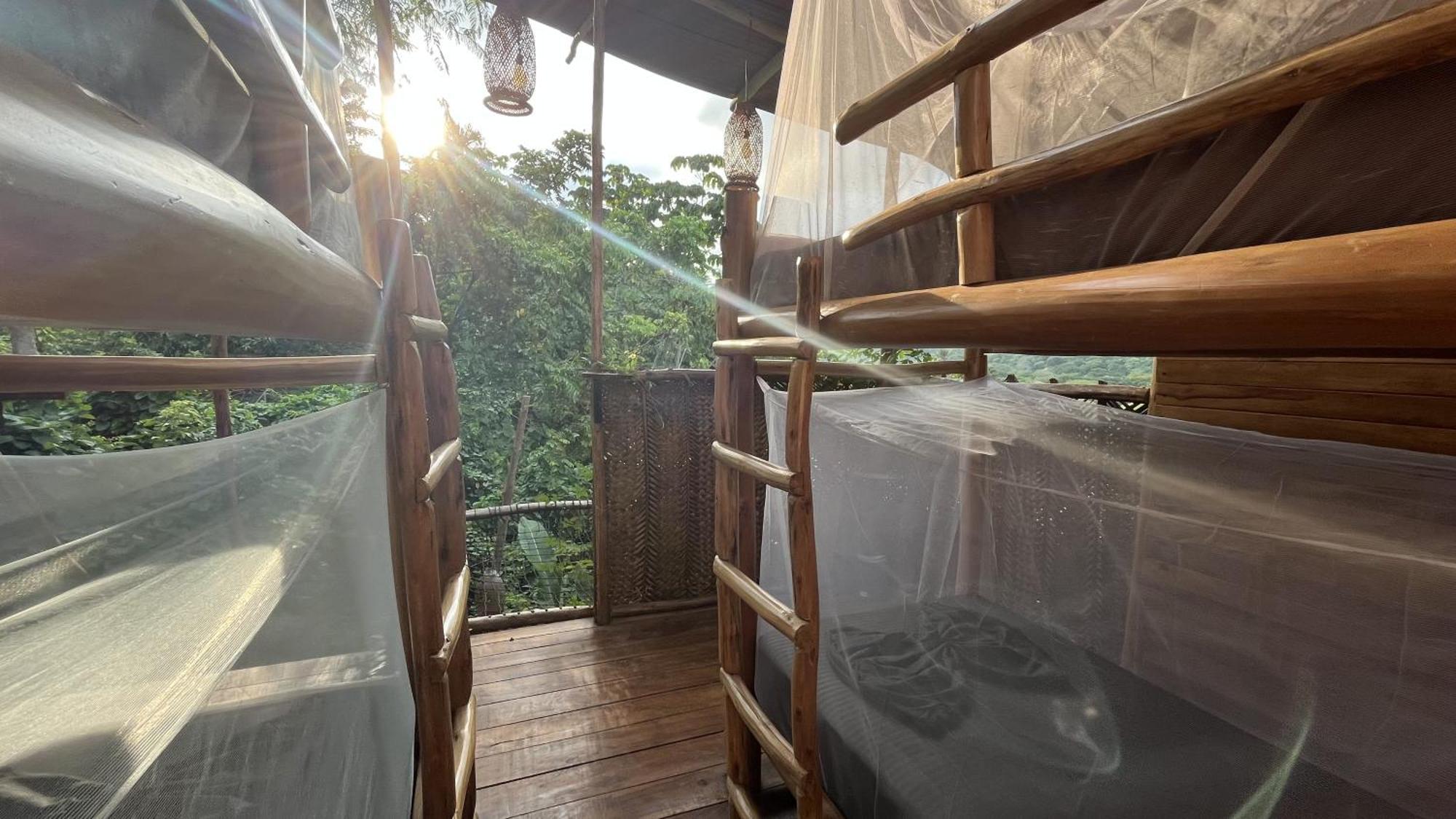The Valley Tayrona Hostel- A Social Jungle HostZaino Kültér fotó