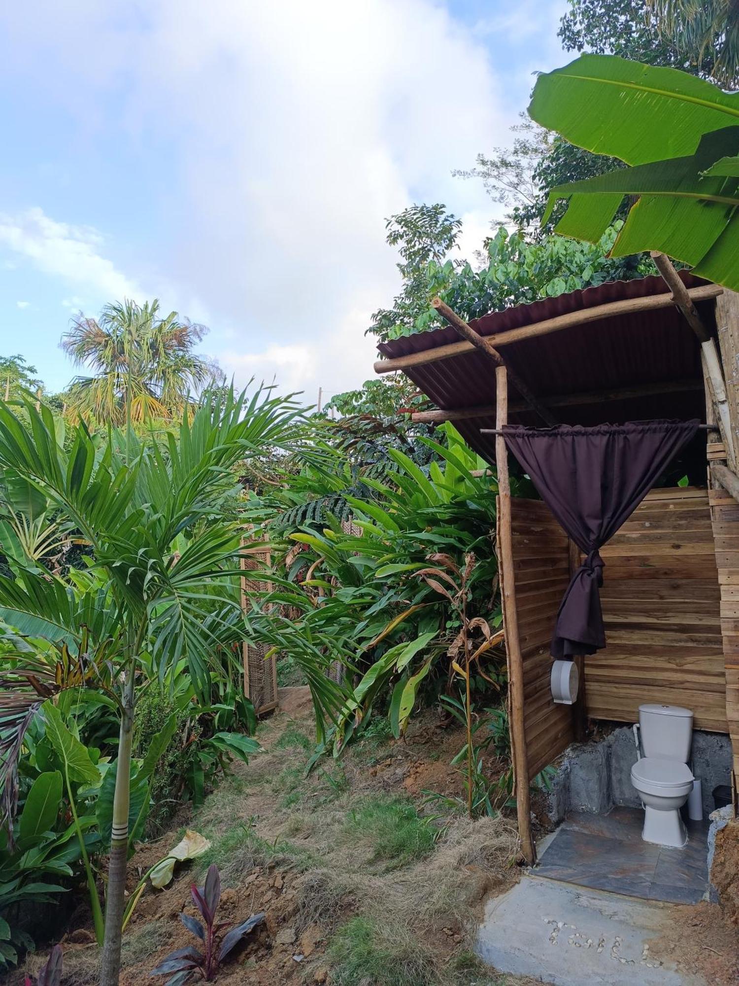 The Valley Tayrona Hostel- A Social Jungle HostZaino Kültér fotó