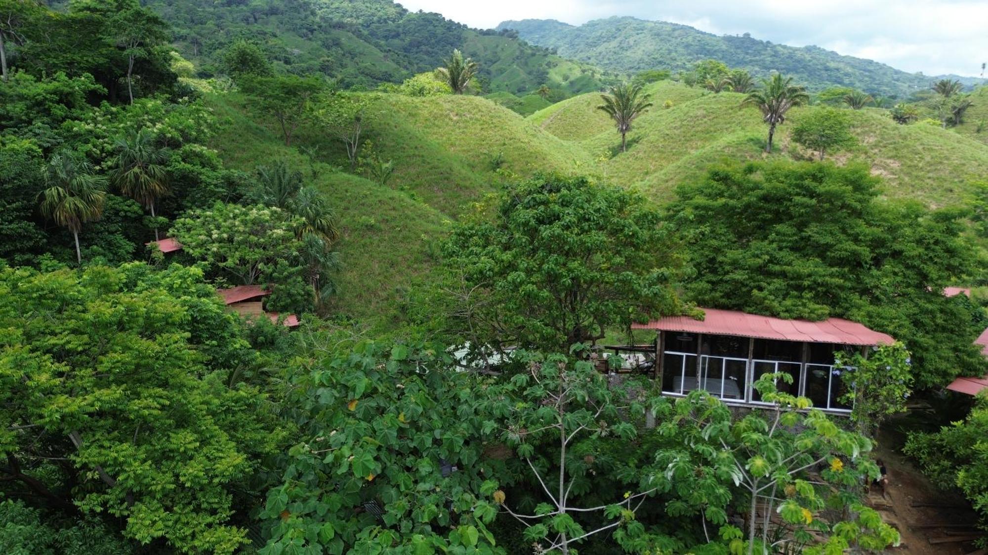 The Valley Tayrona Hostel- A Social Jungle HostZaino Kültér fotó