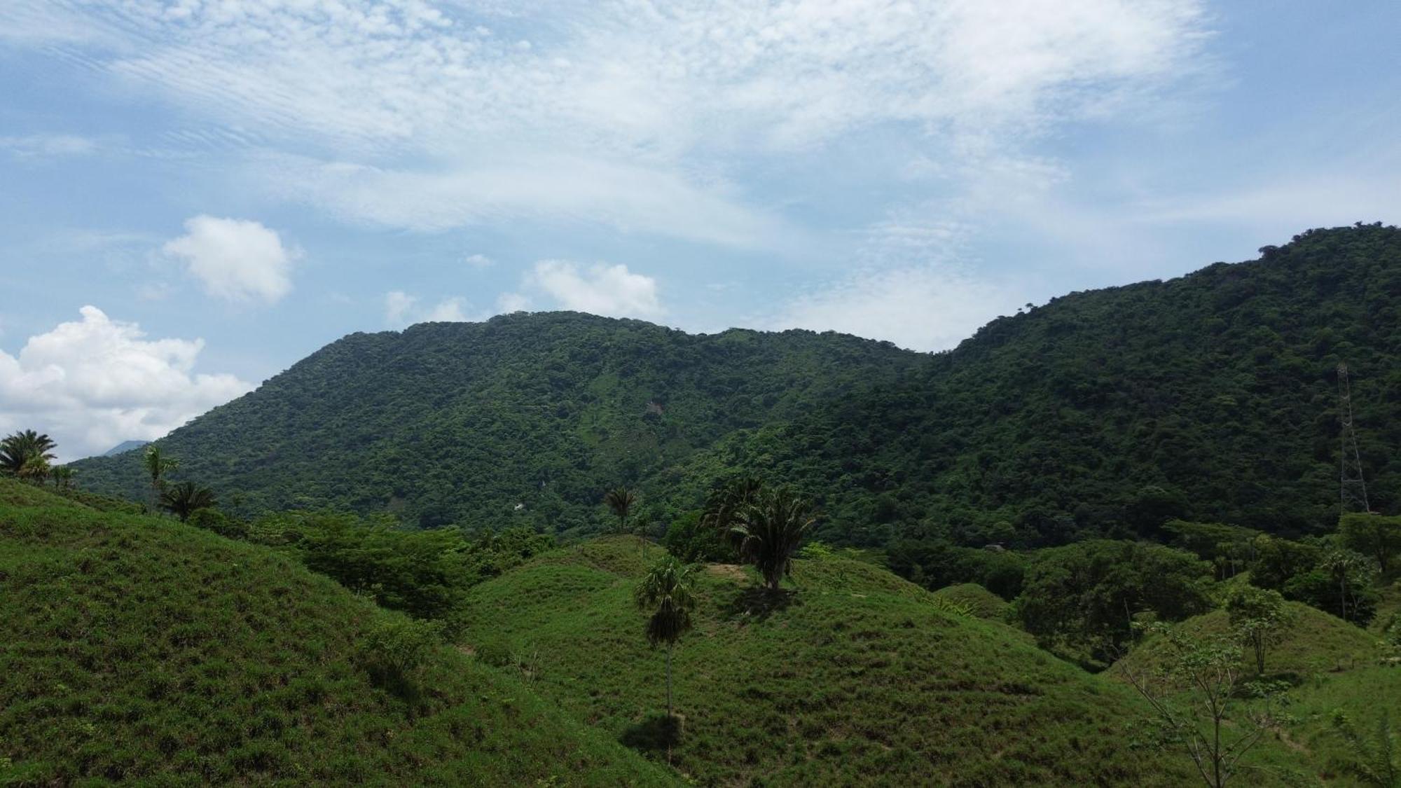 The Valley Tayrona Hostel- A Social Jungle HostZaino Kültér fotó