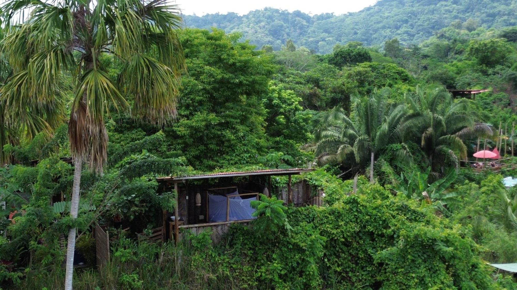 The Valley Tayrona Hostel- A Social Jungle HostZaino Kültér fotó