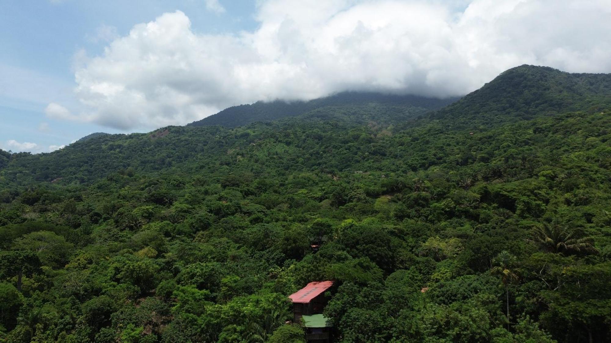 The Valley Tayrona Hostel- A Social Jungle HostZaino Kültér fotó