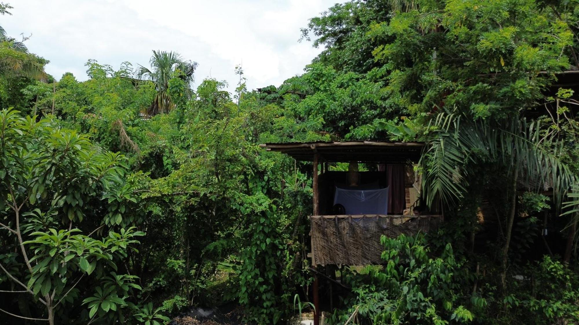 The Valley Tayrona Hostel- A Social Jungle HostZaino Kültér fotó