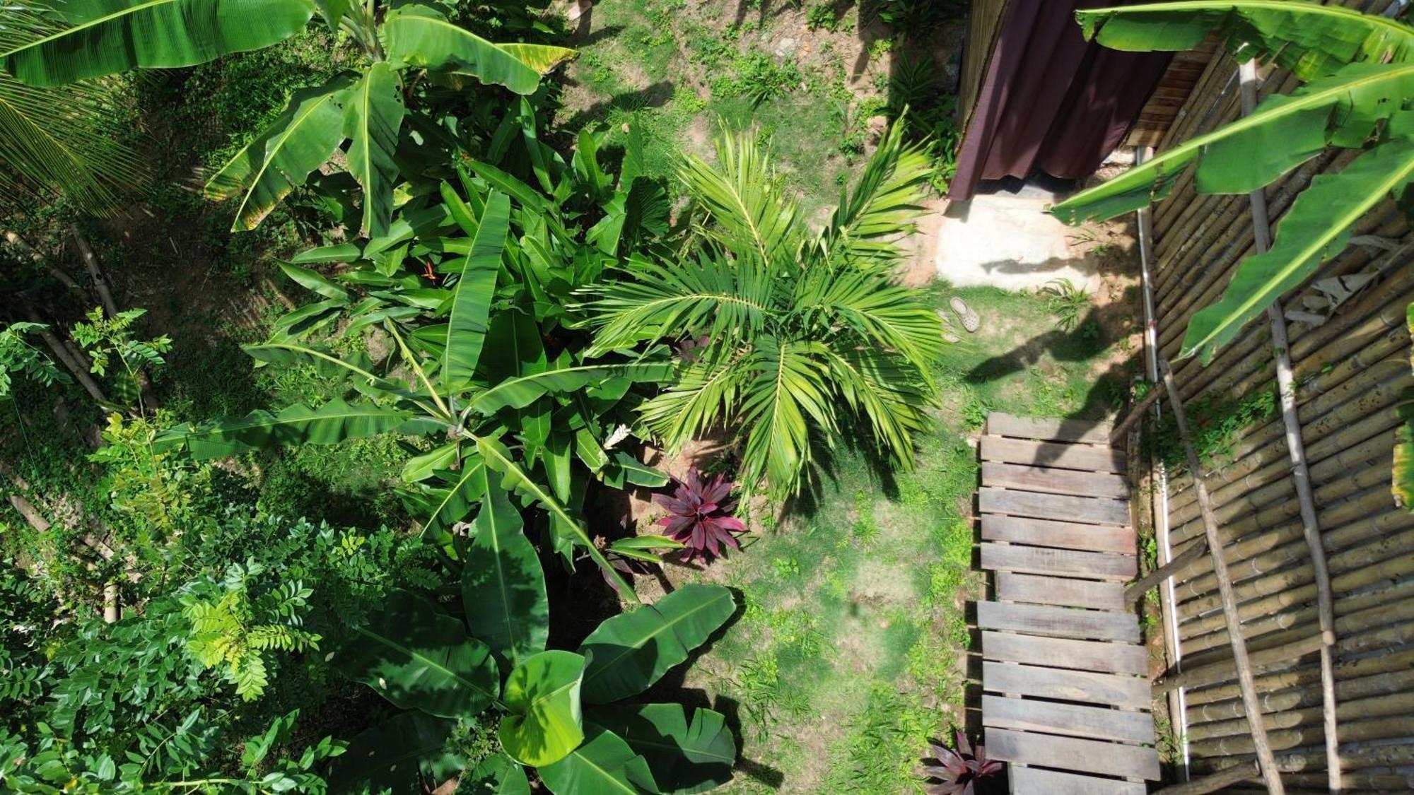 The Valley Tayrona Hostel- A Social Jungle HostZaino Kültér fotó