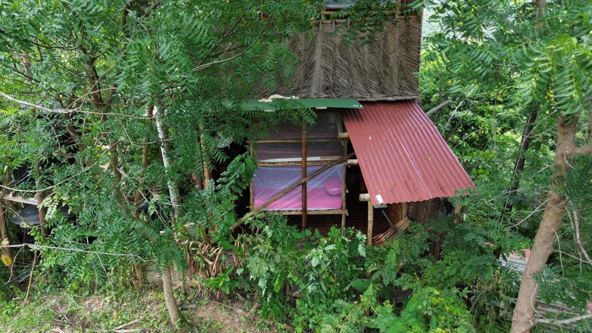 The Valley Tayrona Hostel- A Social Jungle HostZaino Kültér fotó