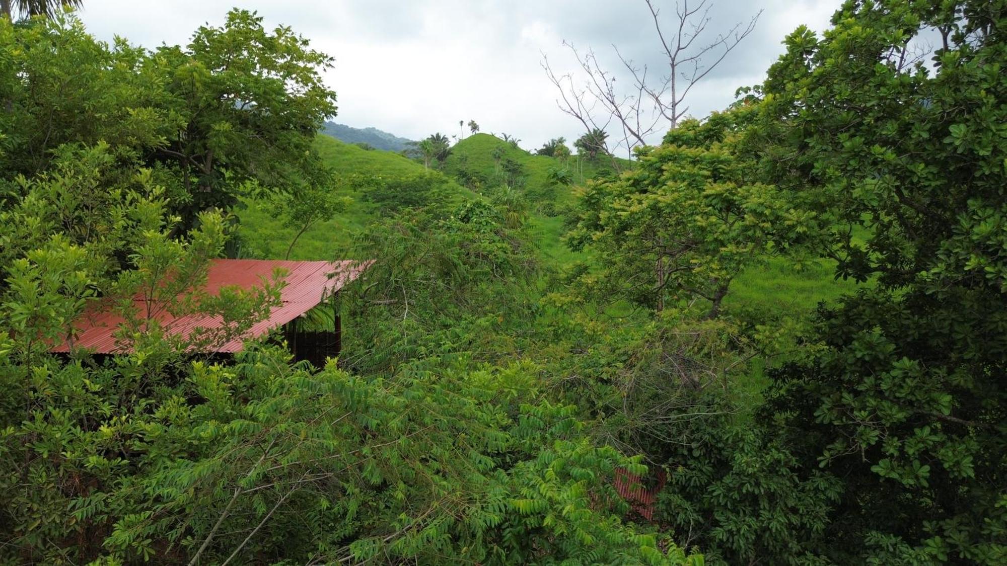 The Valley Tayrona Hostel- A Social Jungle HostZaino Kültér fotó