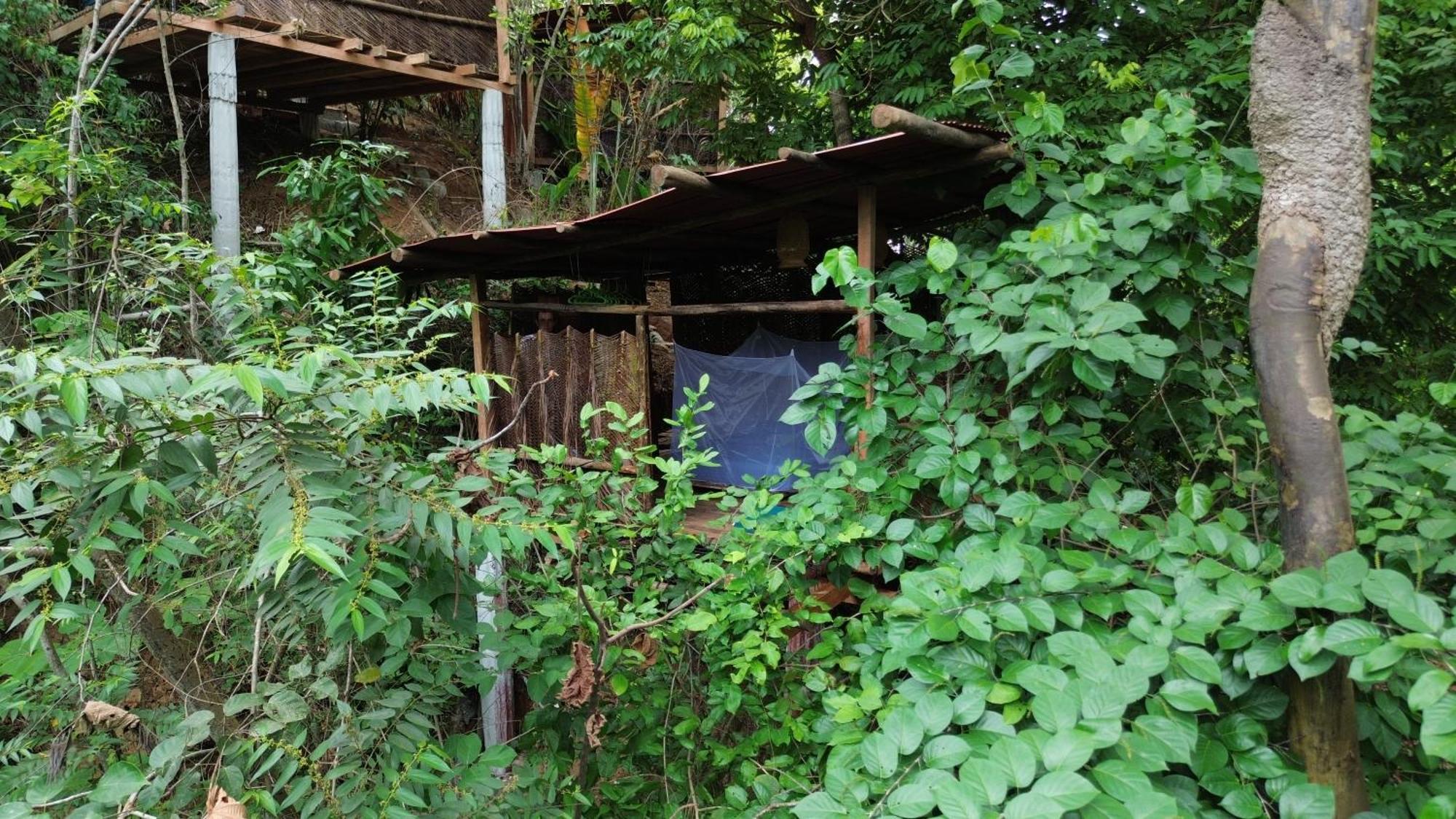 The Valley Tayrona Hostel- A Social Jungle HostZaino Kültér fotó
