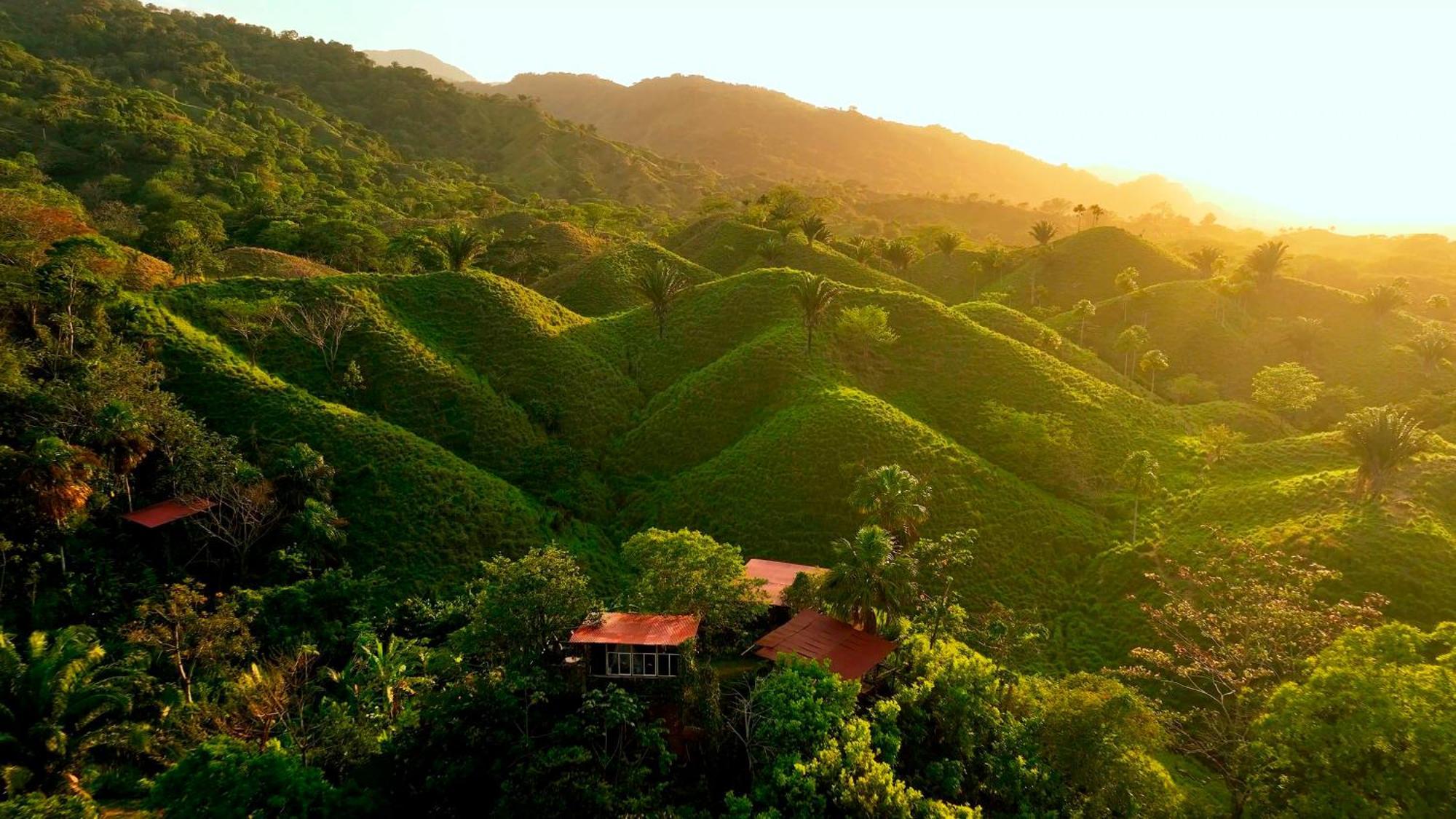 The Valley Tayrona Hostel- A Social Jungle HostZaino Kültér fotó